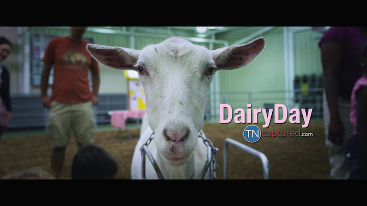 Dairy Day 2014
